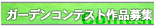 K[fReXgiW